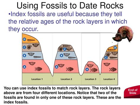 relative dating age of fossils